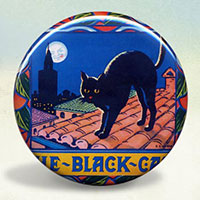 Black Cat Oranges Illustration Poster 