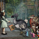 Recruiting A New Alice