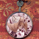 Hanging Bat