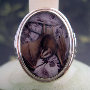 Hanging Bat