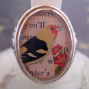 Sweet Bird