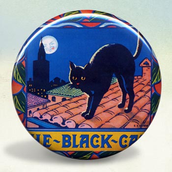 Black Cat Oranges Illustration Poster 
