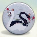 The Black and White Swans