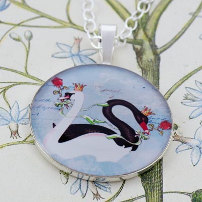 The Black and White Swans