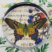 Butterfly with Flowers Glass Round Paperweight