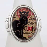 Chat Noir