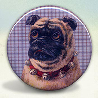 Pug Dog