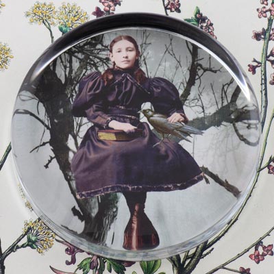 The Girl and the Raven Glass Round Paperweight
