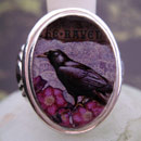 The Raven