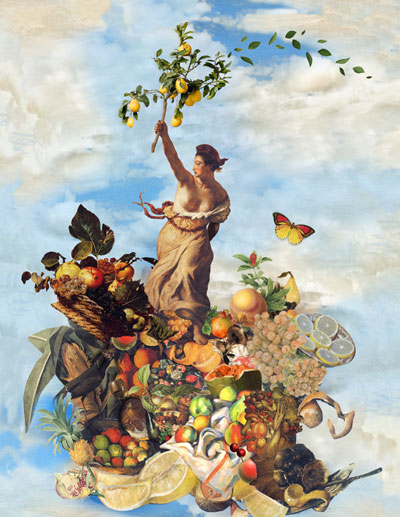 Citrus Revolution 
